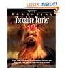 The Essential Yorkshire Terrier (Howell Book House's Essential)