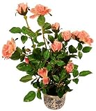 60cm Rose Plant in Porcelain Pot - Peach - Artificial Plant