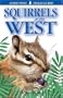 Squirrels of the West