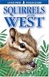 Squirrels of the West