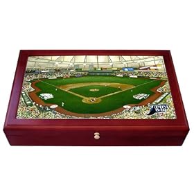 Tampa Bay Devil Rays Tropicana Field Stadium Colorprint Desk Box by 