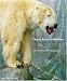 Nanoq: Flat Out and Bluesome - A Cultural Life of Polar Bears