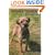 Border Terriers: An Owner's Companion