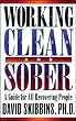 Working Clean and Sober: A Guide for All Recovering People