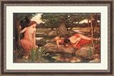 Echo and Narcissus by John William Waterhouse - Framed Artwork