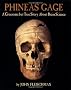 Phineas Gage: A Gruesome But True Story about Brain Science