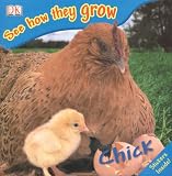 Chick (See How They Grow)