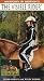 Book The Visible Rider (Anatomy in Motion)