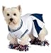 Deluxe Cheerleader Medium Pet Costume