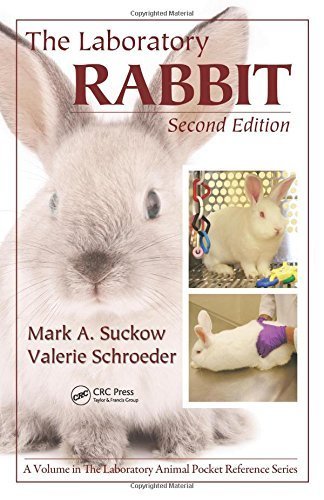 Laboratory Animal Pocket Reference Series: The Laboratory Rabbit, Second Edition by Suckow, Mark A., Schroeder, Valerie, Douglas, Fred A. (2010) Plastic Comb