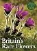 Britain's Rare Flowers (Poyser Natural History)