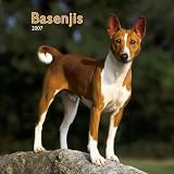 Basenjis 2007 Calendar