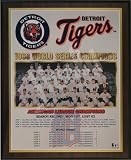 1968 Detroit Tigers World Series Champions 13
