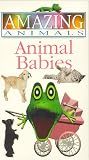 Amazing Animals - Animal Babies