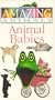 Animal Babies [VHS]