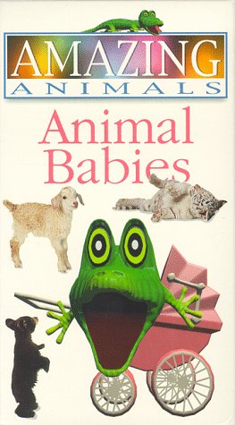 Amazing Animals - Animal Babies by Amazing Animals Videos