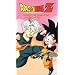 Dragonball Z - World Tournament: Junior Division [VHS]