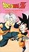 Dragonball Z - World Tournament: Junior Division