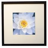 Review Target Corporation  / Gallery Frame - Black (14x14