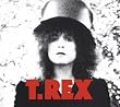 The Slider (2CD Deluxe Edition)