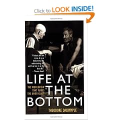 Life at the Bottom: The Worldview That Makes the Underclass