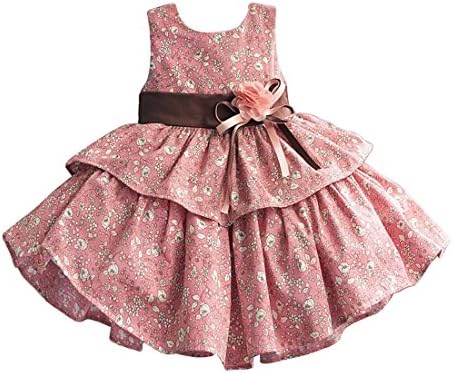 Decollra Baby Girls' Flower Print Princess Dresses for Party Wedding 4T Red