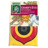 Guard &acute; N Eyes TE - 12C ( Set of 12 ) - B001WP71WC