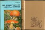 Les champignons dans la nature