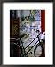 Bicycle Against Muralled Wall of Chinese Temple at Marudi, Sarawak, Malaysia Styles Framed Art Poster Print by Mark Daffey, 18x22