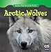 Arctic Wolves (Animals That Live in the Tundra)