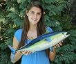Giant Taxidermy 24" Fiberglass Yellowfin Tuna Mount