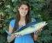 Giant Taxidermy 24" Fiberglass Yellowfin Tuna Mount