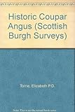 Historic Coupar Angus : the archaeological implications of development