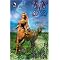 read great Paranormal Romances