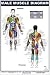 Books : Male Muscle Diagram