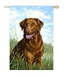 Chocolate Lab Silk Reflections Regular Size Flag
