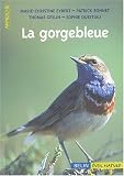 La gorgebleue à miroir La gorgebleue à miroir