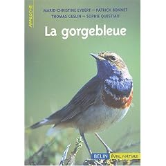 La gorgebleue � miroir