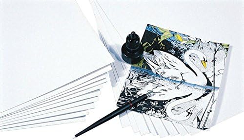 Paper Pen and Ink White 18X24 80 LB 100 SHTS