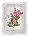 Flowers of Spring III by Tom Wood. Size 7.94 inches width by 10.73 inches height. Hig...