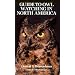 Guide to Owl Watching in North America