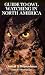 Guide to Owl Watching in North America