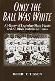 The Biographical Encyclopedia of the Negro Baseball Leagues