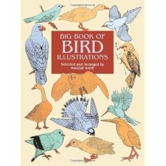 Big Book of Bird Illustrations