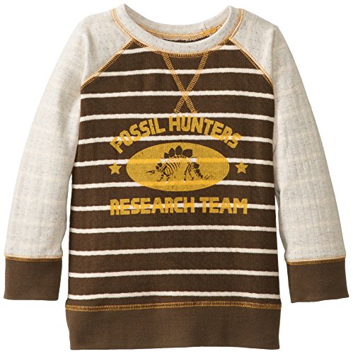 Hatley Little Boys' Raglan Sweater