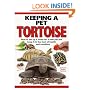 Keeping a Pet Tortoise