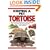 Keeping a Pet Tortoise