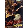 Limp Bizkit book cover
