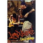Limp Bizkit book cover
