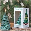 Virginia Candles - Money Tree